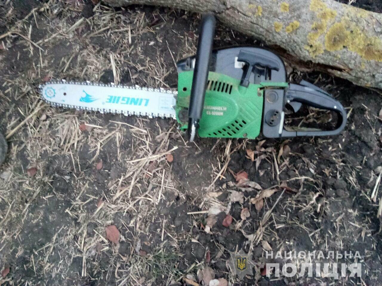 В Запорожской области активизировались «черные лесорубы» (ФОТО), фото-2