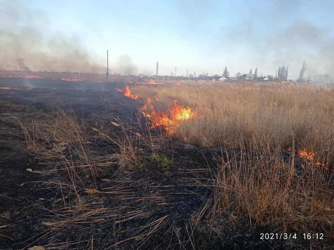 За минувшие сутки в Бердянске произошло три пожара в экосистемах (ФОТО), фото-3