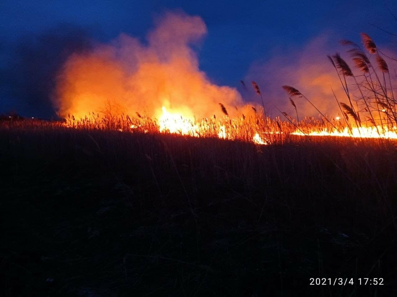 За минувшие сутки в Бердянске произошло три пожара в экосистемах (ФОТО), фото-4