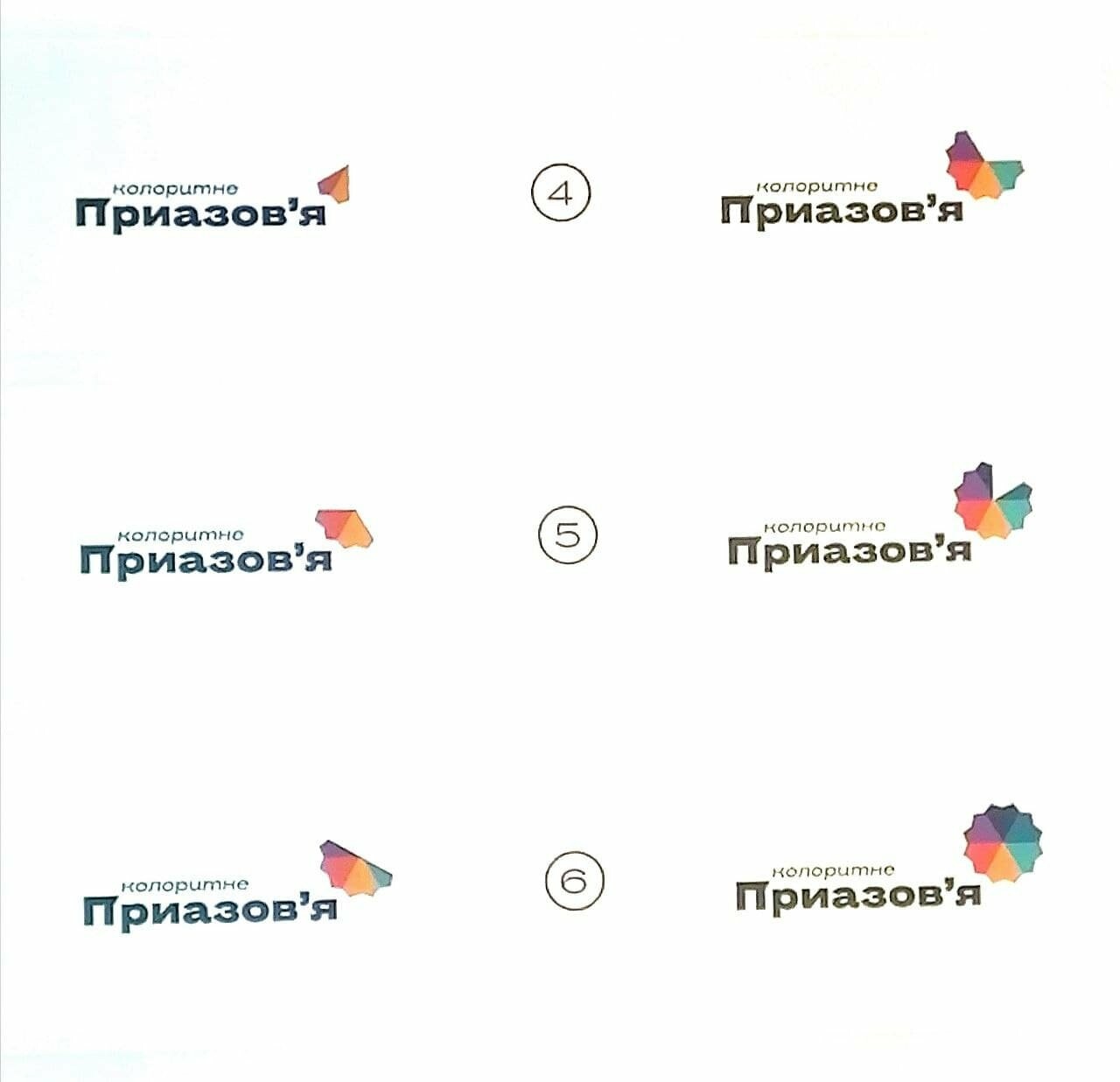 «Колоритное Приазовье»: как сделать из Бердянска «город-вау!», фото-8