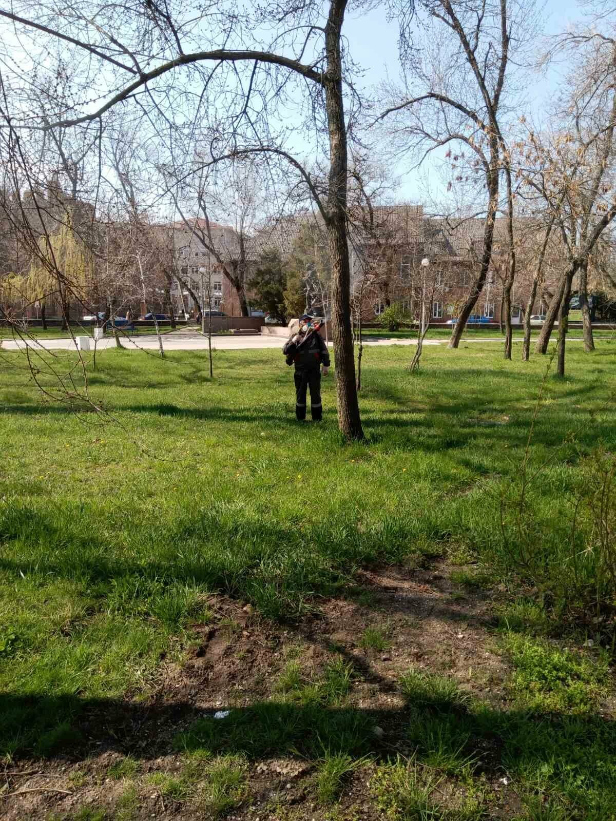 В центре Бердянска начали обрабатывать деревья специальным раствором (ФОТО), фото-3