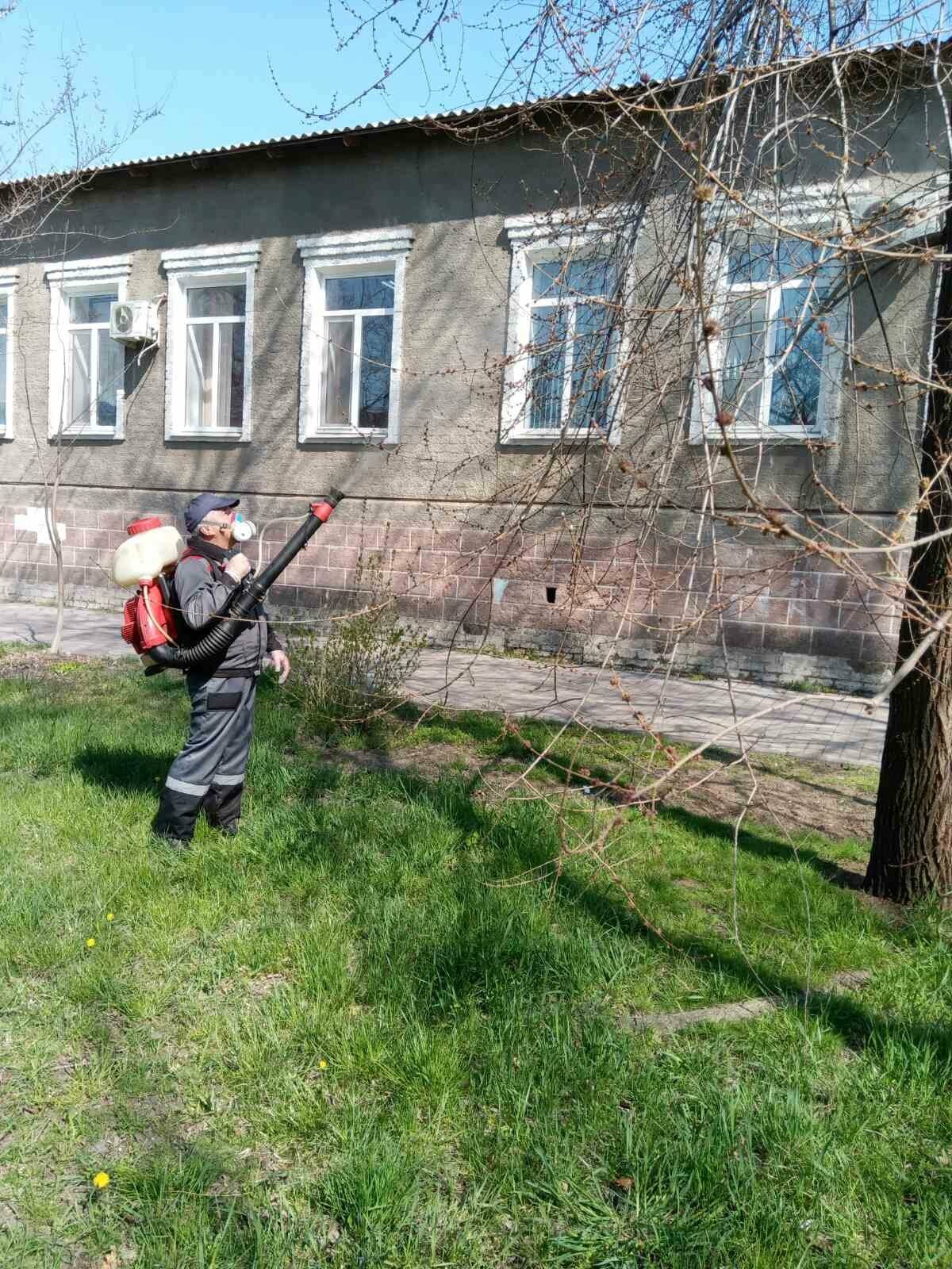 В центре Бердянска начали обрабатывать деревья специальным раствором (ФОТО), фото-1