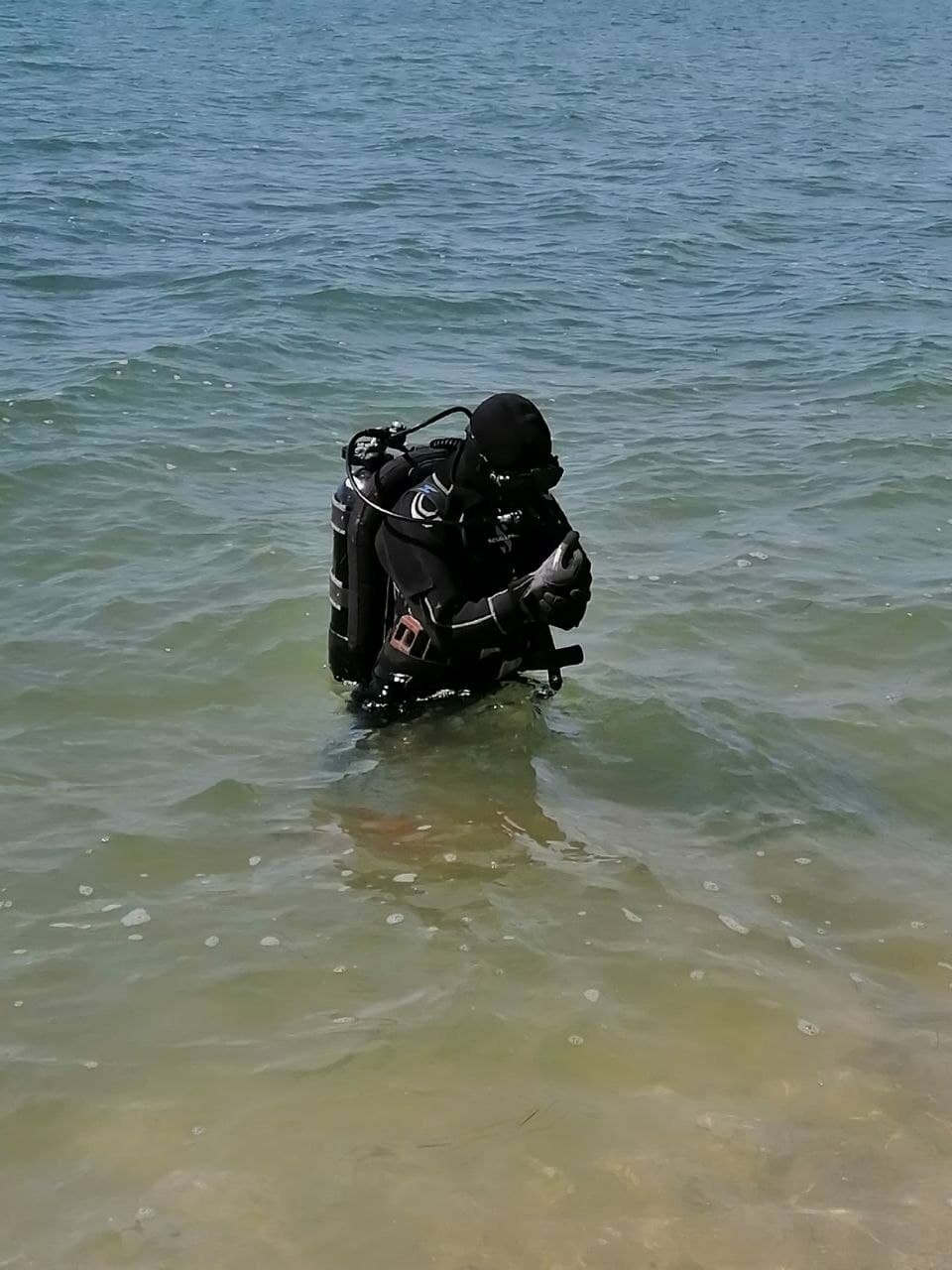 Водолазы исследуют дно Бердянского залива (ФОТО), фото-8