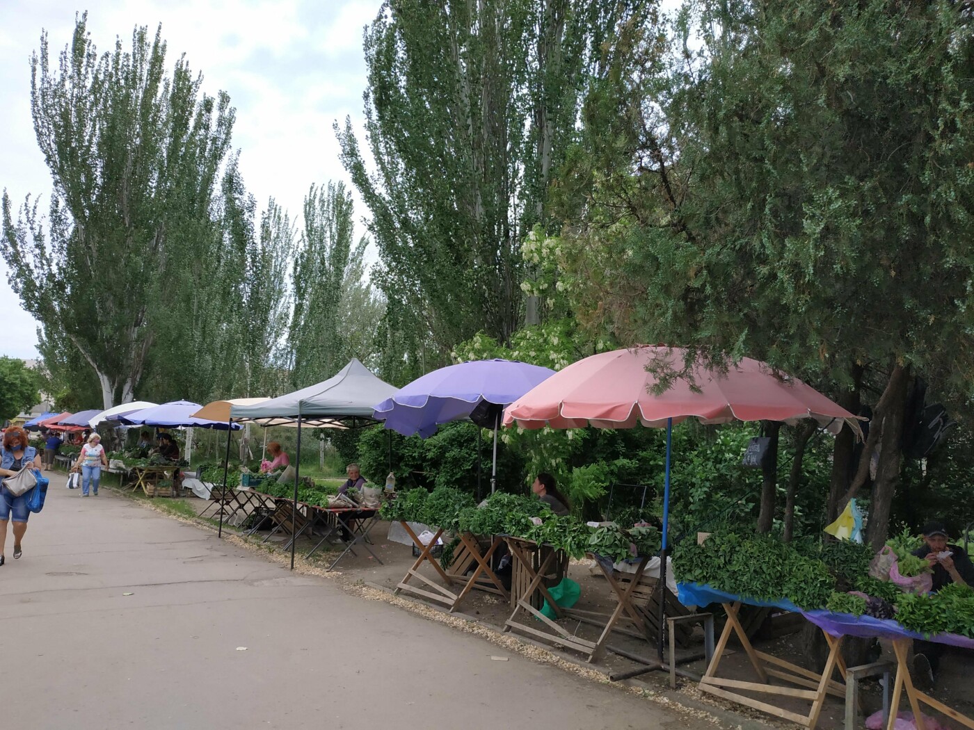 В Бердянске между ГДК и храмом может появиться сквер, фото-4
