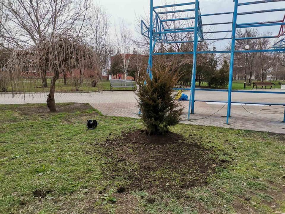 В Бердянске озеленяют Набережную, фото-1