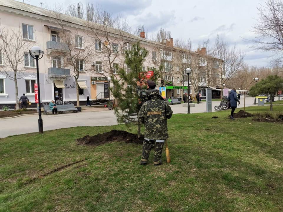 В Бердянске озеленяют Набережную, фото-4