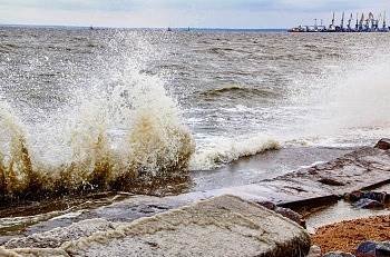 В Бердянске завтра потеплеет, но будет ветрено В Бердянске завтра потеплеет, но будет ветрено, Першин Виктор