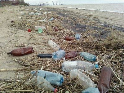 Бердянцы присоединились к акции по уборке мусора с берега Азовского... Бердянцы присоединились к акции по уборке мусора с берега Азовского моря, Першин Виктор