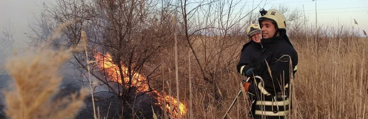 За минувшие сутки в Бердянске произошло три пожара в экосистемах