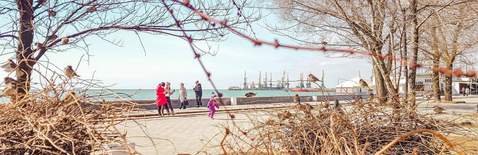 В Бердянск пришла весна