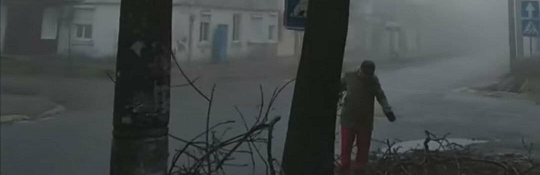 Стало известно, когда уберут ветки с тротуара по улице Итальянской