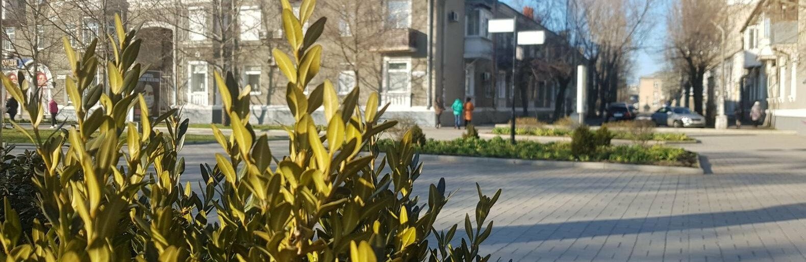 Как Бердянск будет жить в условиях локдауна