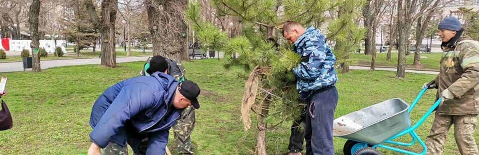В Бердянске озеленяют Набережную