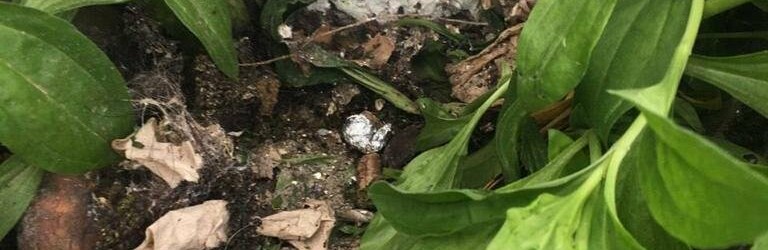 В Бердянске на улице Северной задержали наркозакладчицу