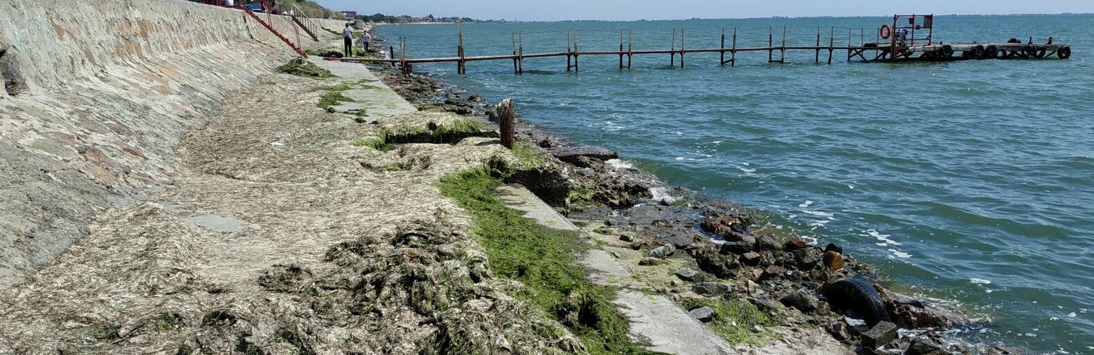 В Бердянске коммунальщики спасают центральный пляж от камки